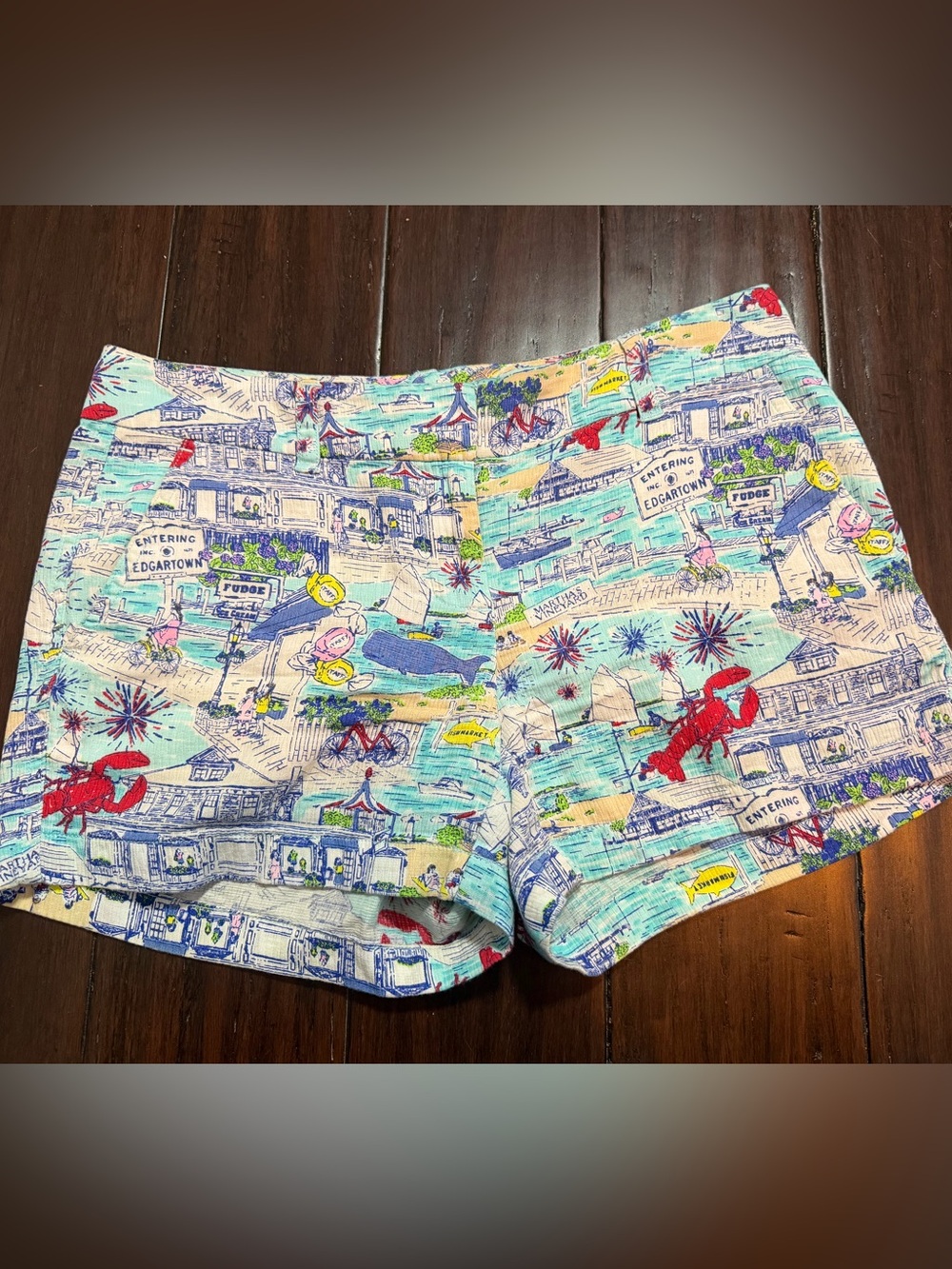 Vineyard Vines Edgartown Martha’s Vineyard women’s shorts size 2 - Picture 2 of 4